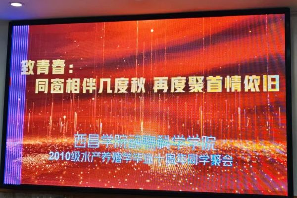 图片01